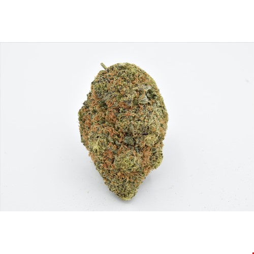 blue coma bee(1).jpg